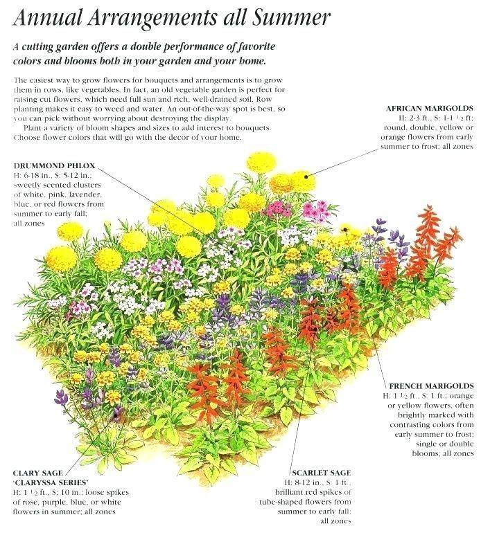 Perennial Garden Brilliant Ideas For Gardener Perennial Flowers
