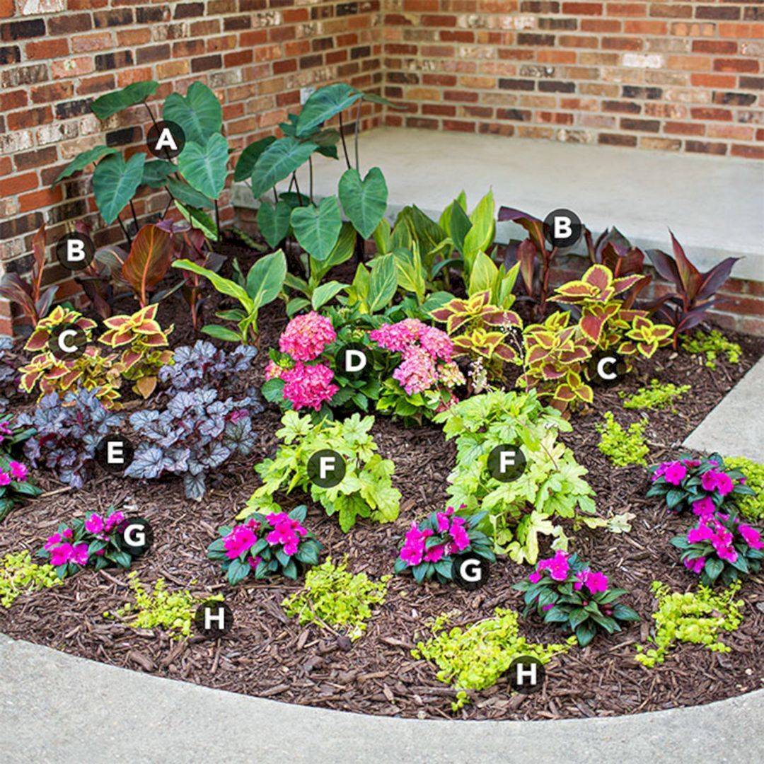 Small Flower Garden Layout Outdoor Decor Ideas