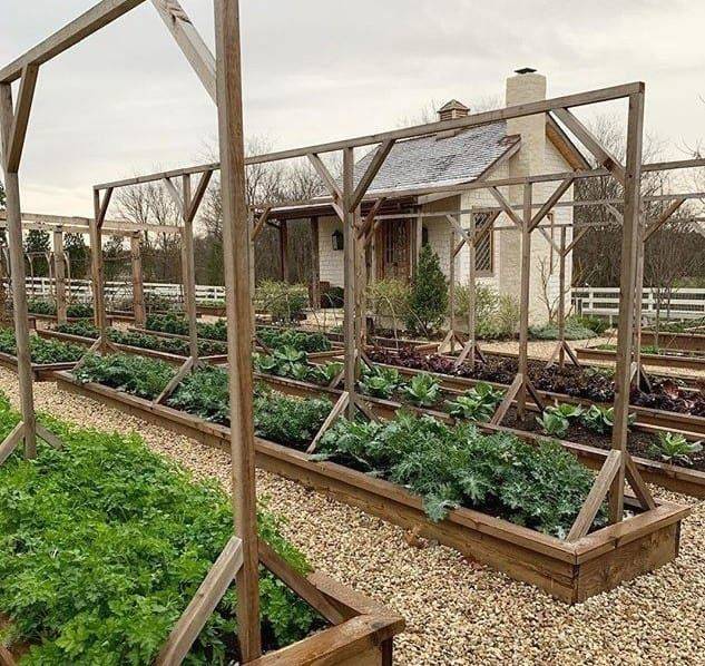 Kitchen Garden Designs