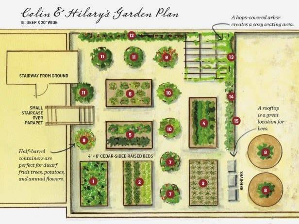 Kitchen Garden Designs