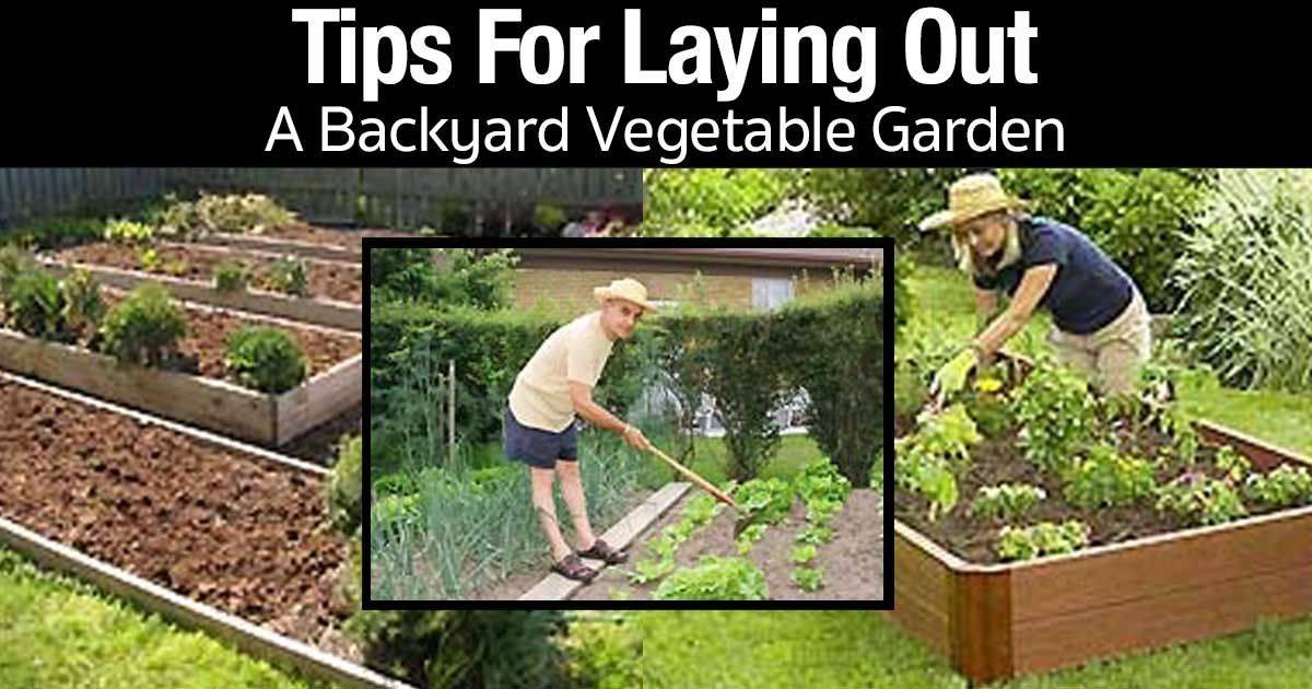 Layouts Family Food Garden