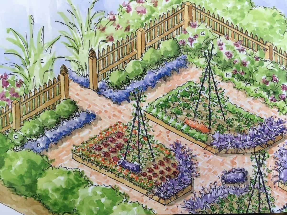 Layouts Family Food Garden
