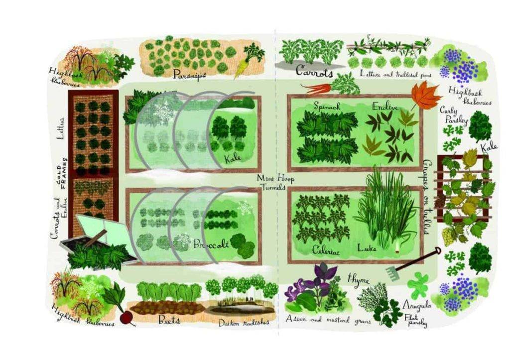 Vegetable Garden Plans
