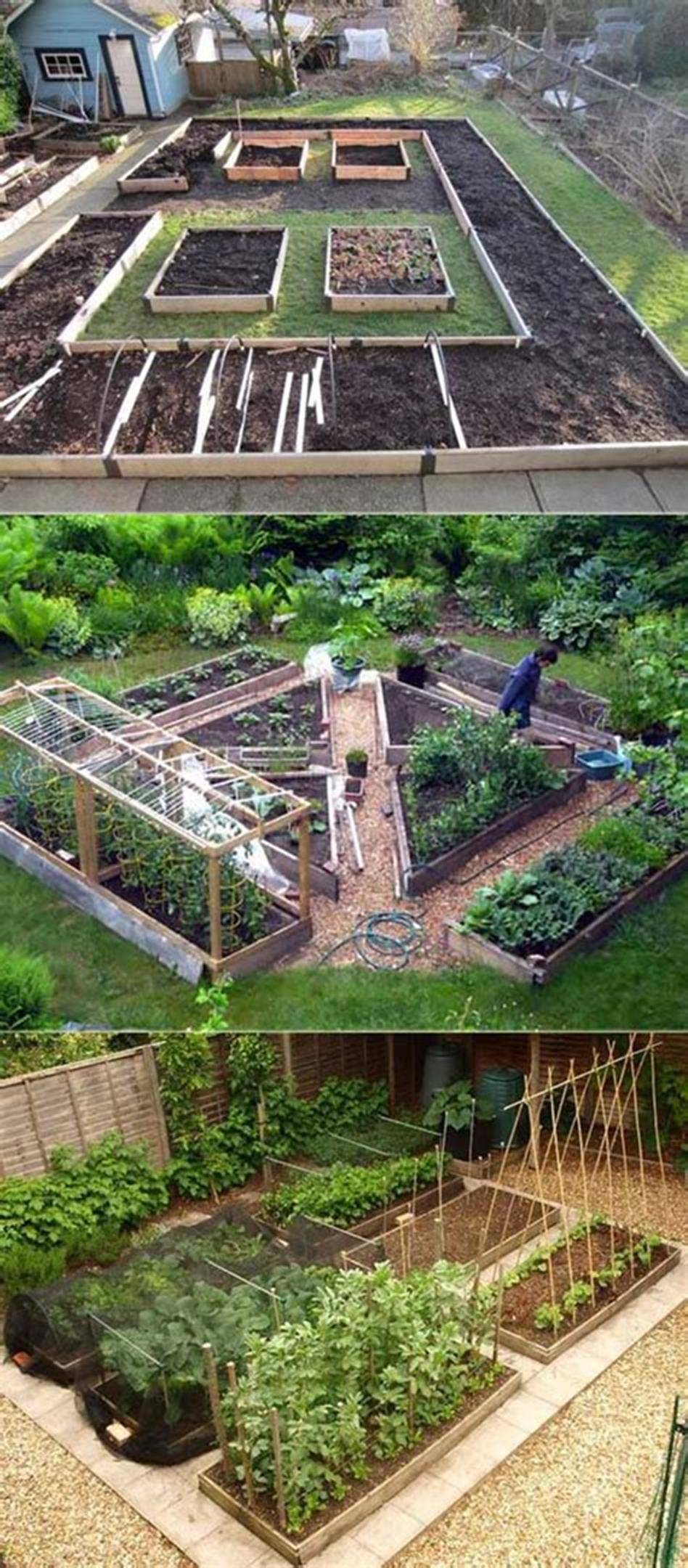 Impressive Vegetable Garden Designs