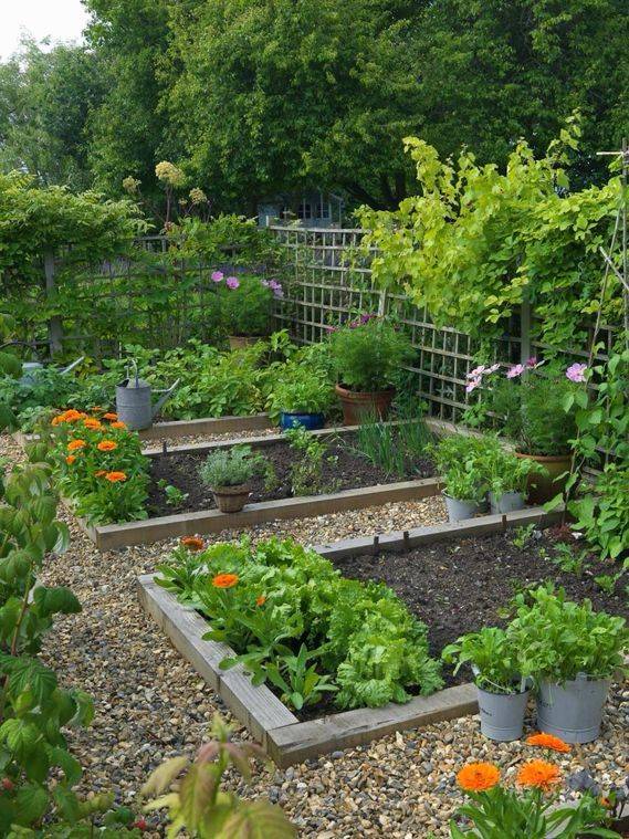 Largescale Kitchen Garden Vegetable Garden Design