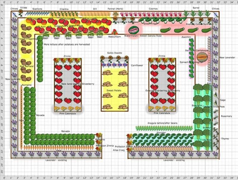 Vegetable Garden Plans