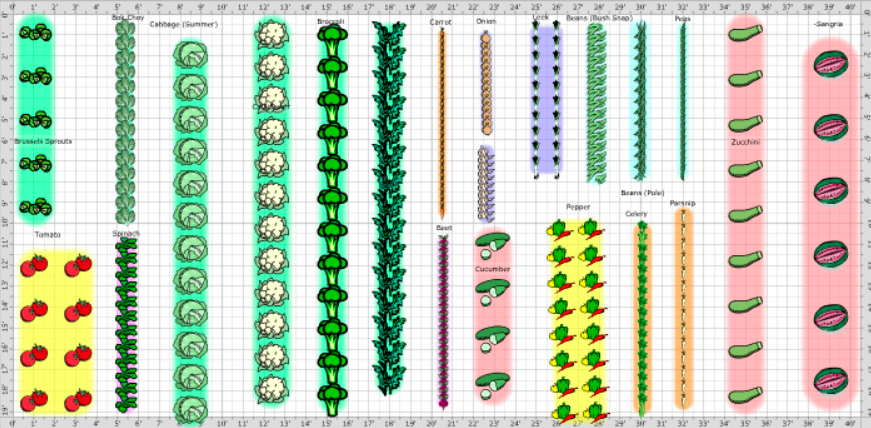 Vegetable Garden Plans