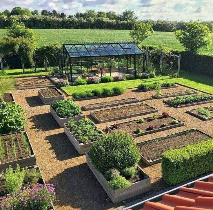 A Cultivated Nest Fruit Garden Layout