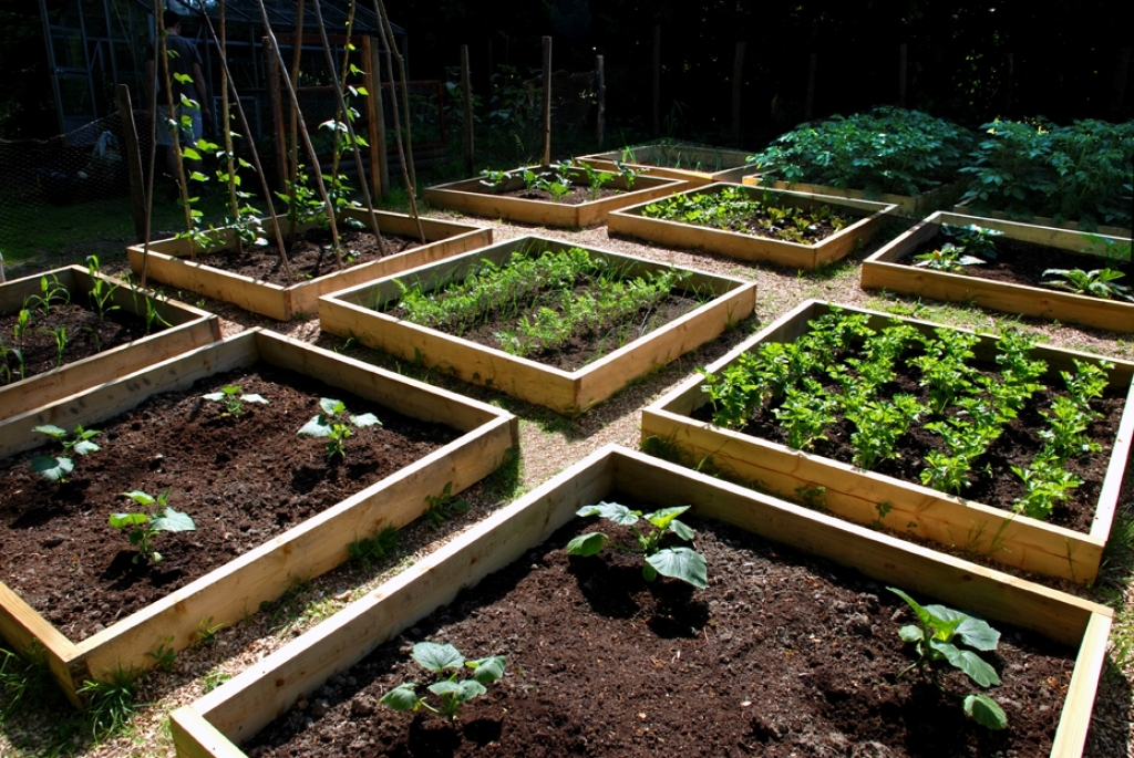 Garden Home Vegetable Garden Design