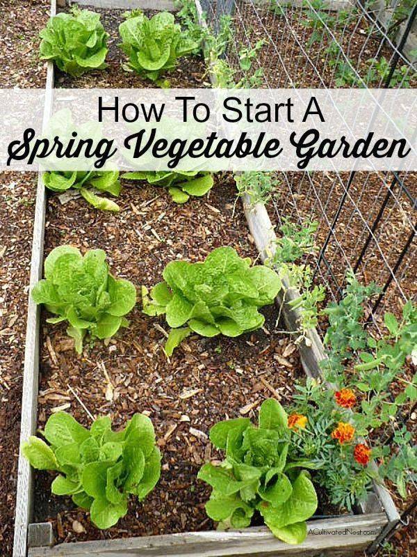 Simple Vegetable Garden Plans
