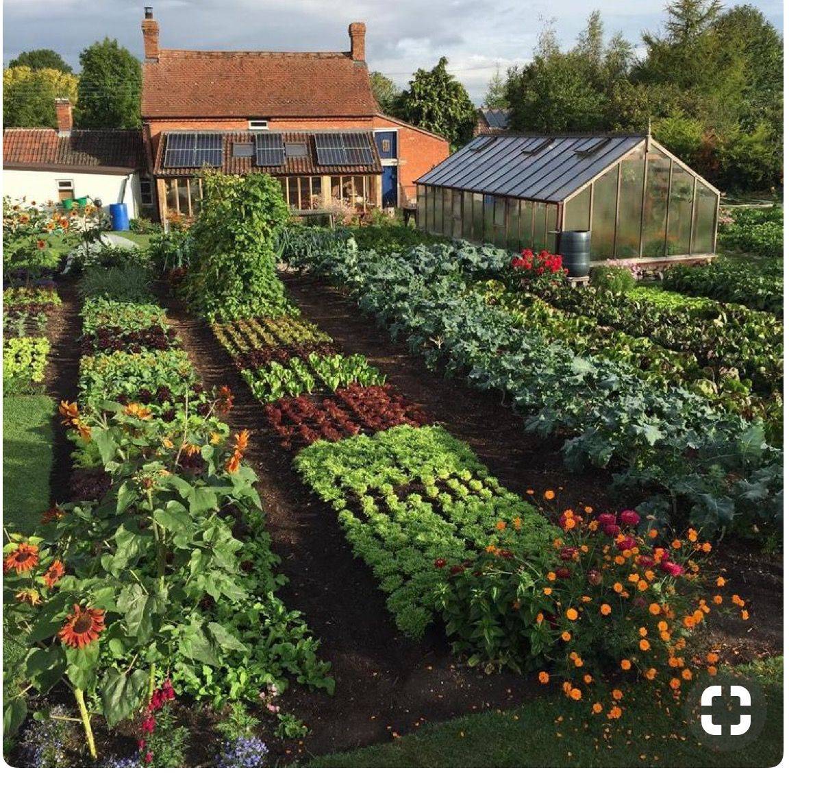 Small Vegetable Garden Spring Vegetables