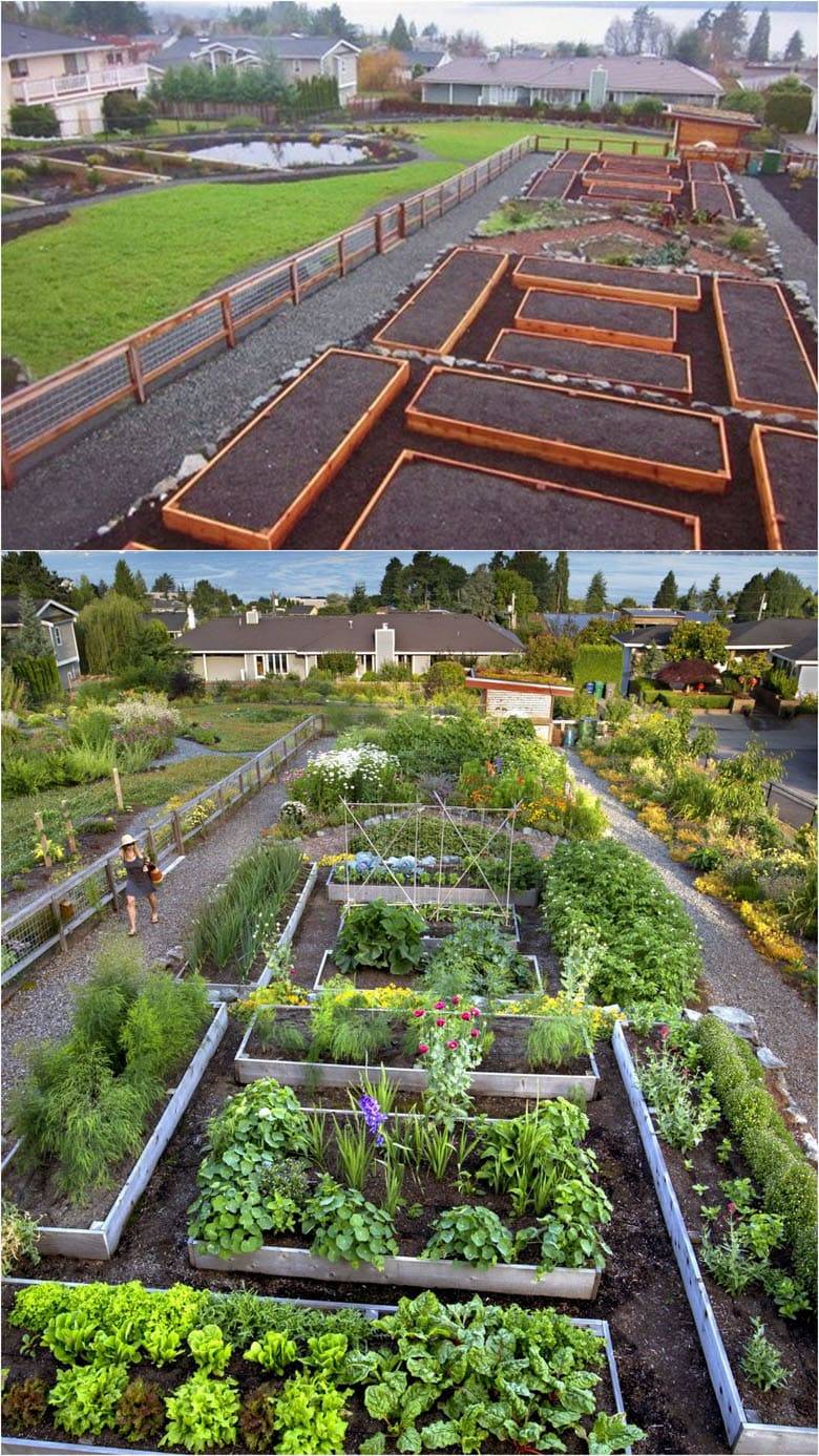 Best Vegetable Garden Layout Ideas