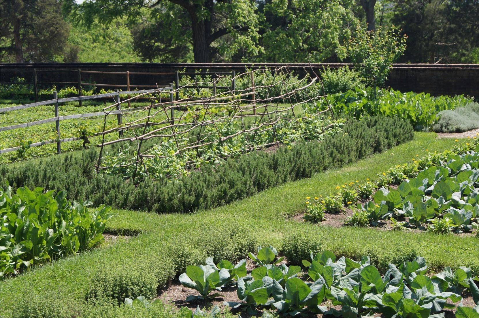 A Spring Vegetable Garden