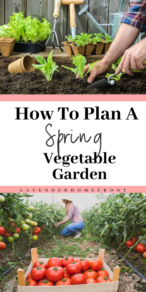 A Spring Vegetable Garden