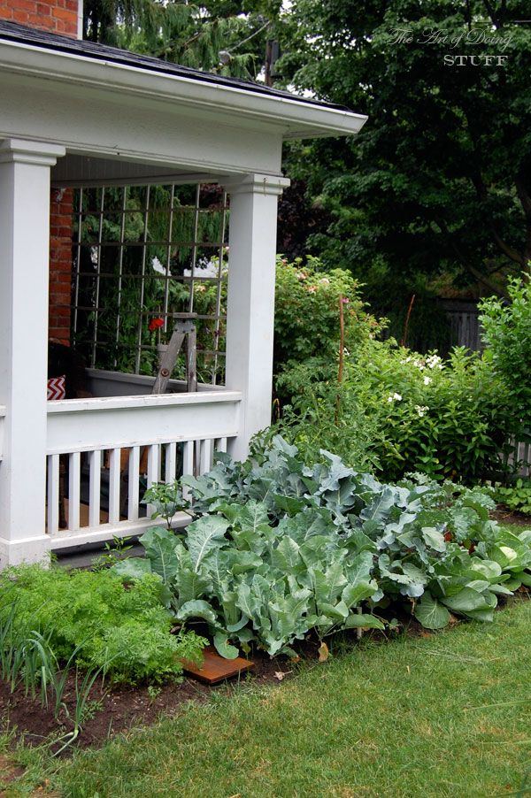 Your Vegetable Garden