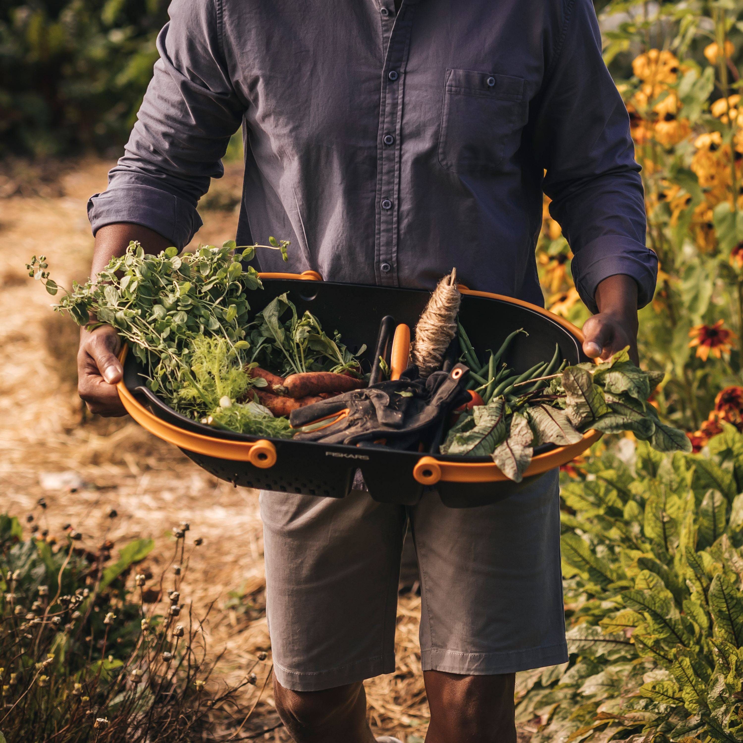 Garden Party Garden Party Recipes