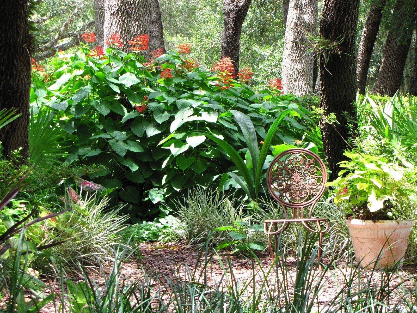 Extraordinary Florida Landscaping Ideas
