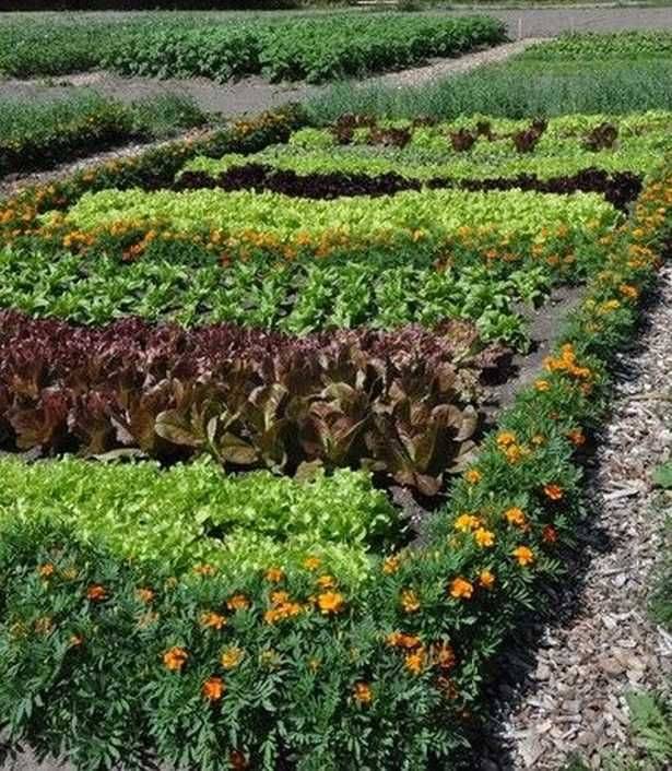 South Florida Landscaping Ideas