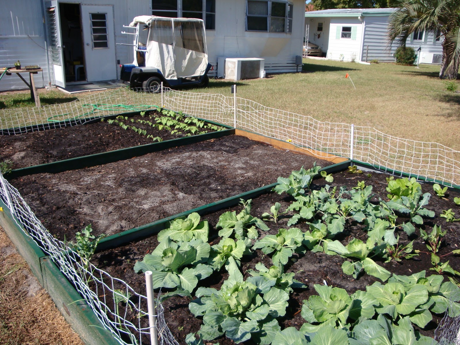 Vegetable Gardening