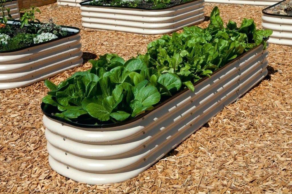 Horse Trough Google Search Raised Garden