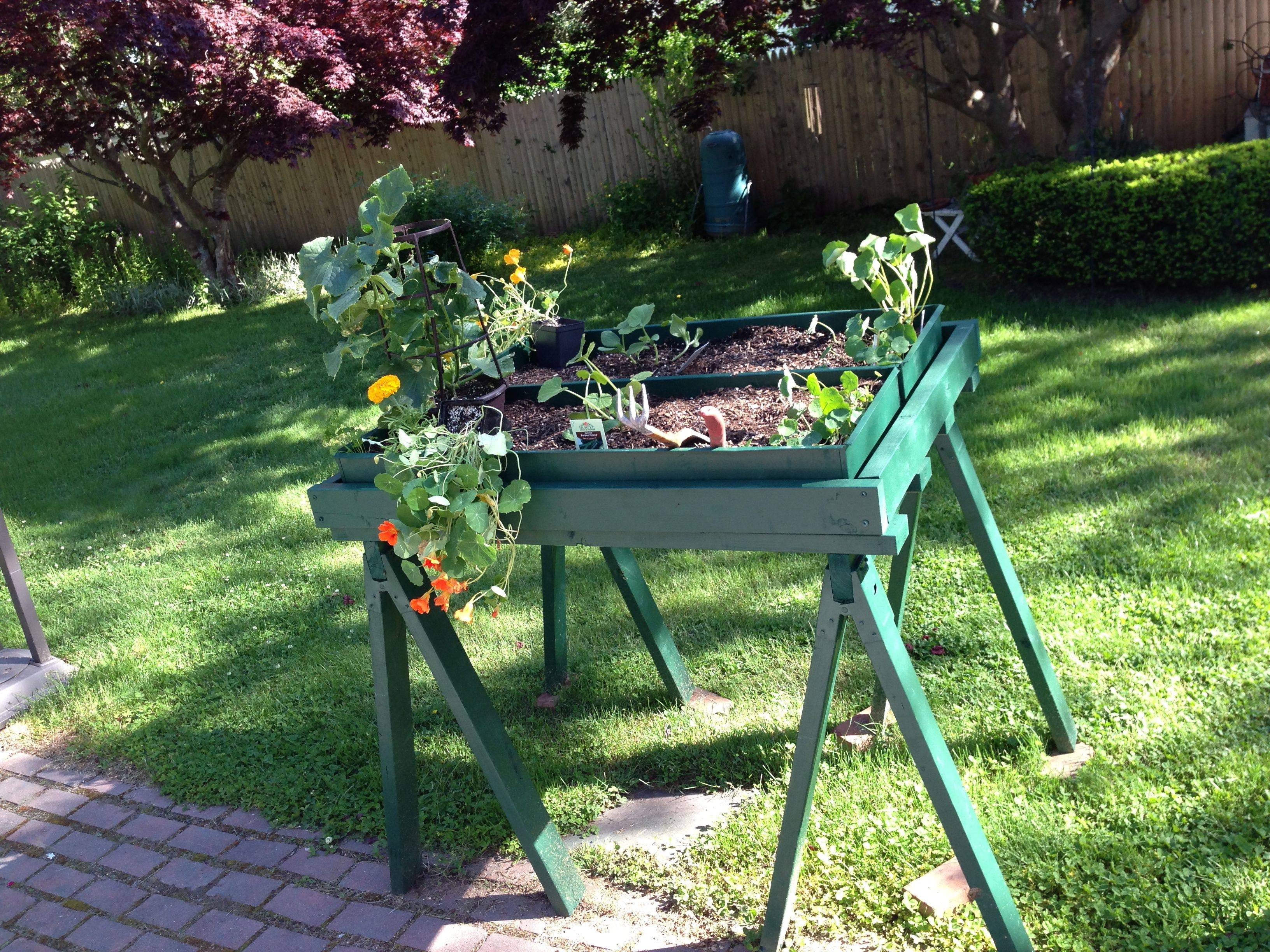 Ground Garden