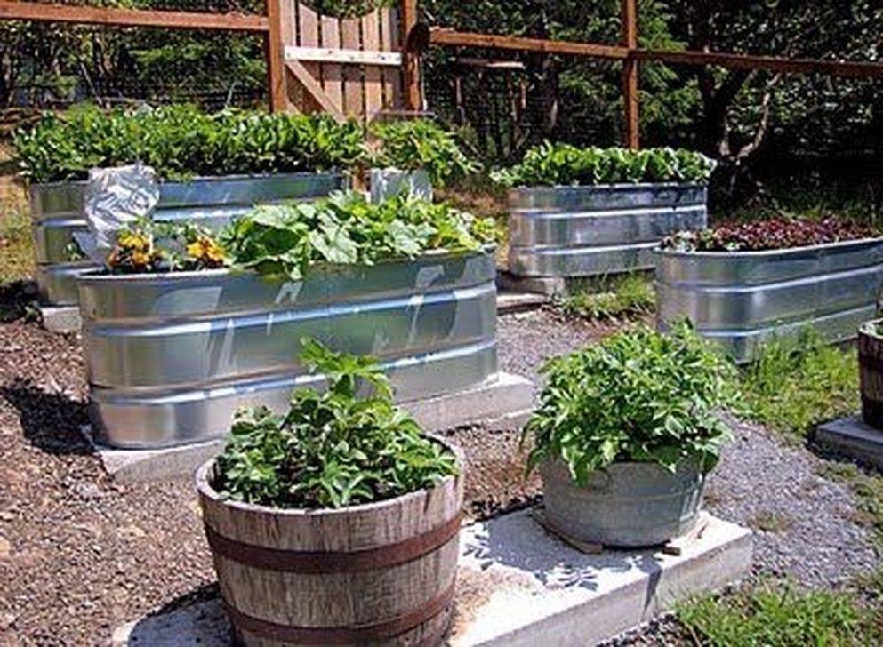 Raised Garden
