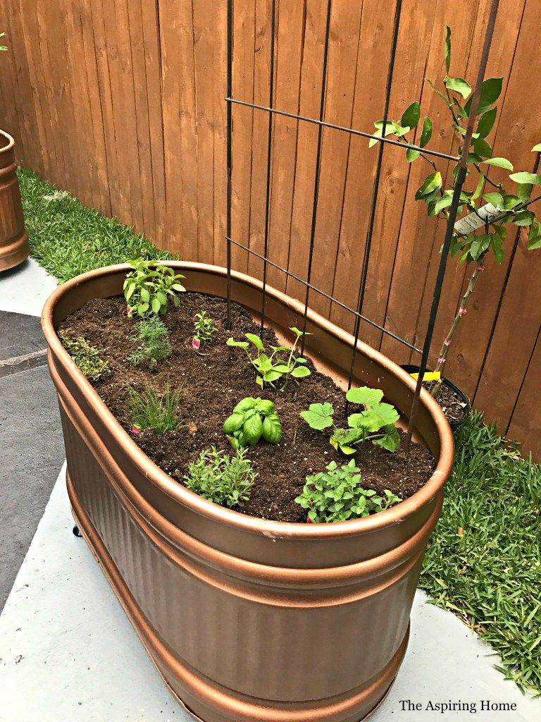 Gardening Home Vegetable Garden