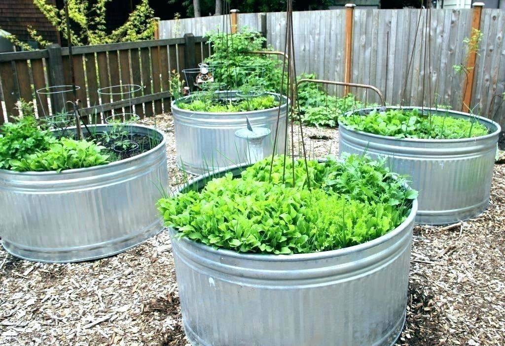Raised Garden Beds