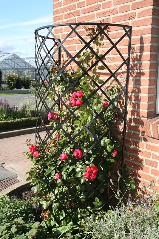 Round Obelisk Garden Trellis Wrought Iron Black Metal