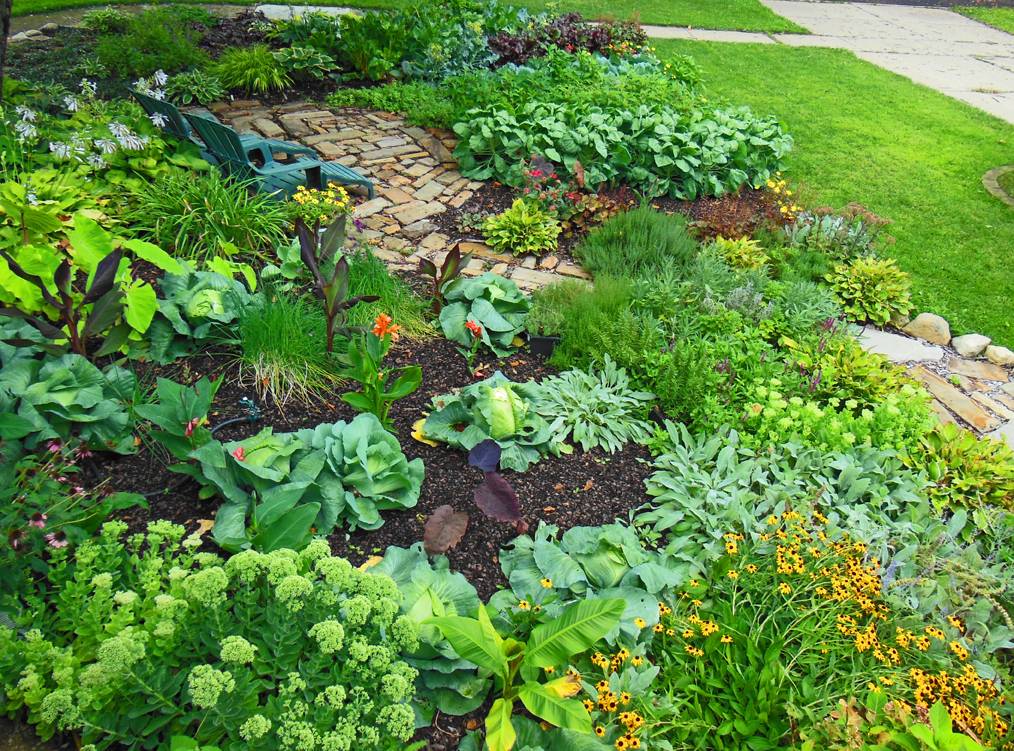 Affordable Backyard Vegetable Garden Designs Ideas Roundecor