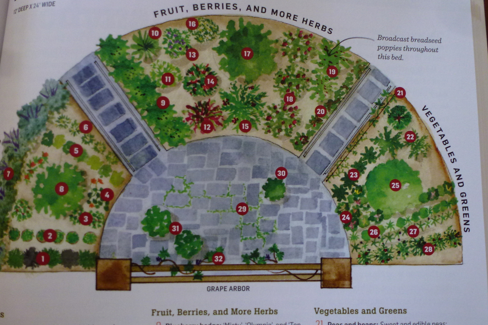 Kitchen Garden Designs