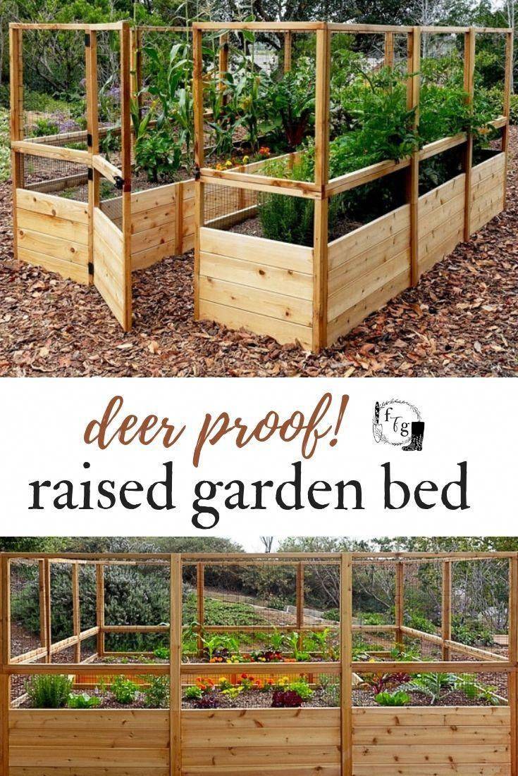 Stunning Vegetable Garden Ideas Family Food Garden Roof Garden