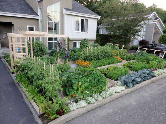 Stunning Vegetable Garden Ideas Family Food Garden Roof Garden