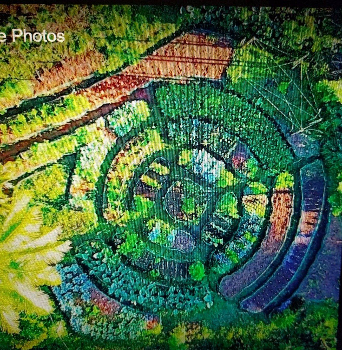 Vegetable Garden Plans