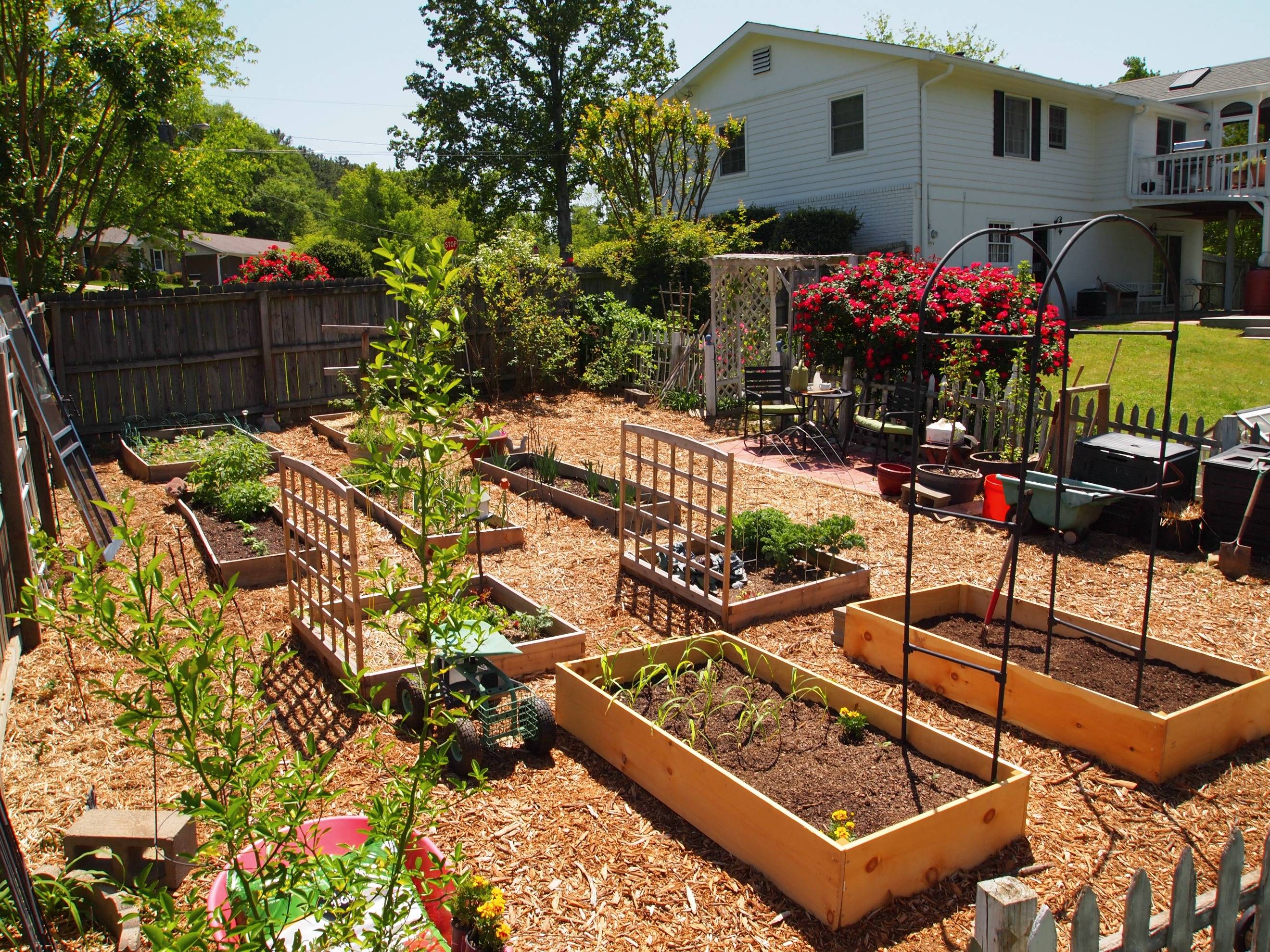 Stunning Vegetable Garden Design Ideas
