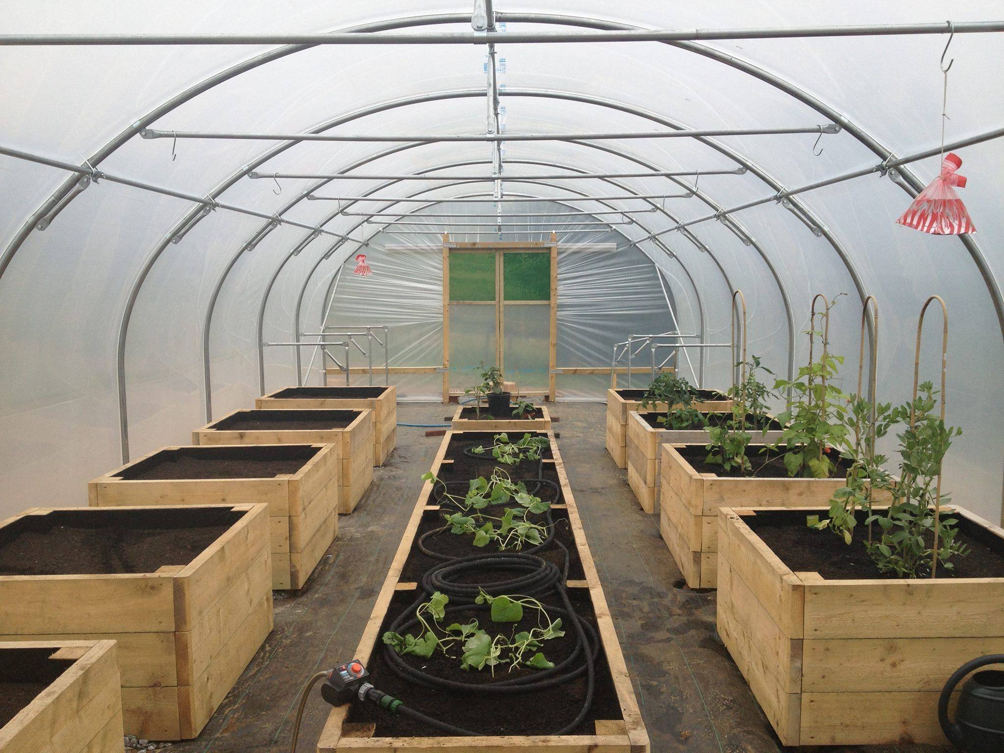 Your Very Own Vegetable Garden