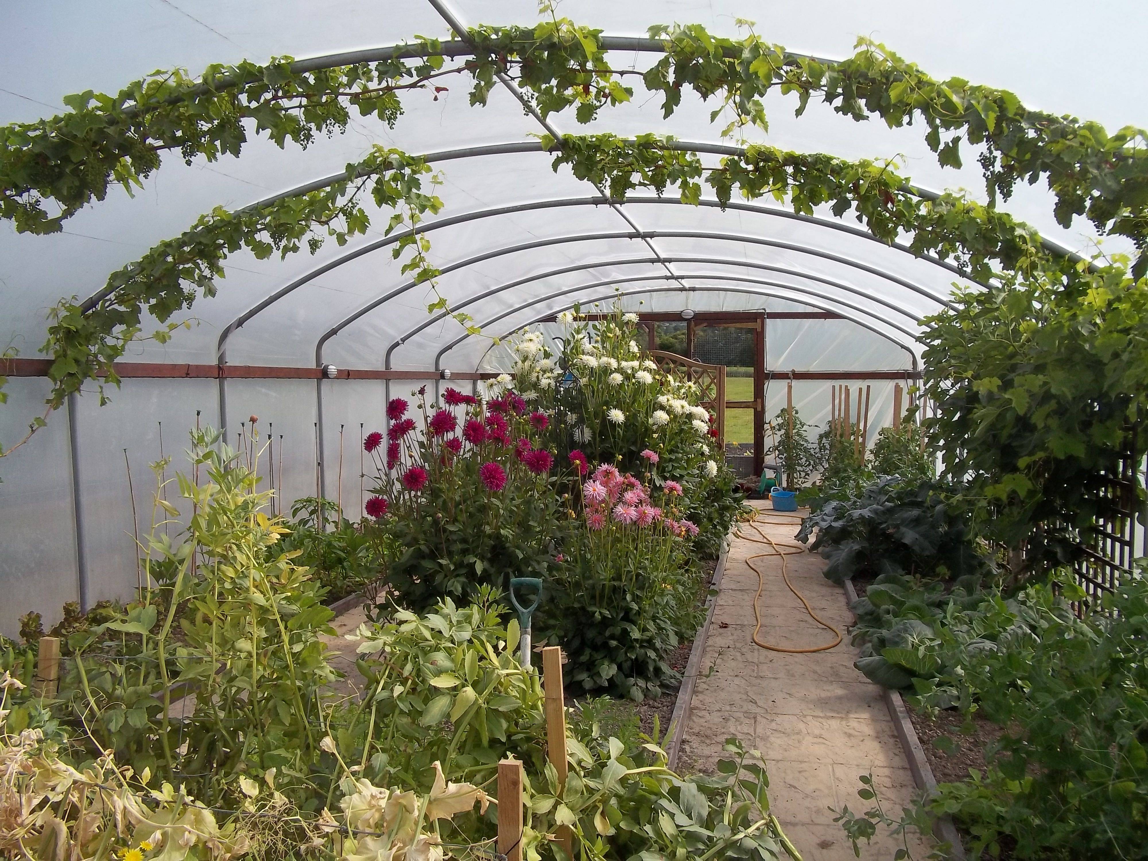 Garden Archway