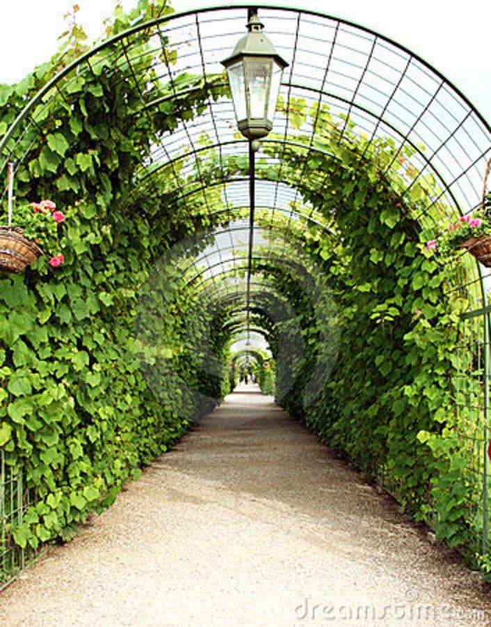 Garden Plant Support Tunnels Metal Garden Trellis