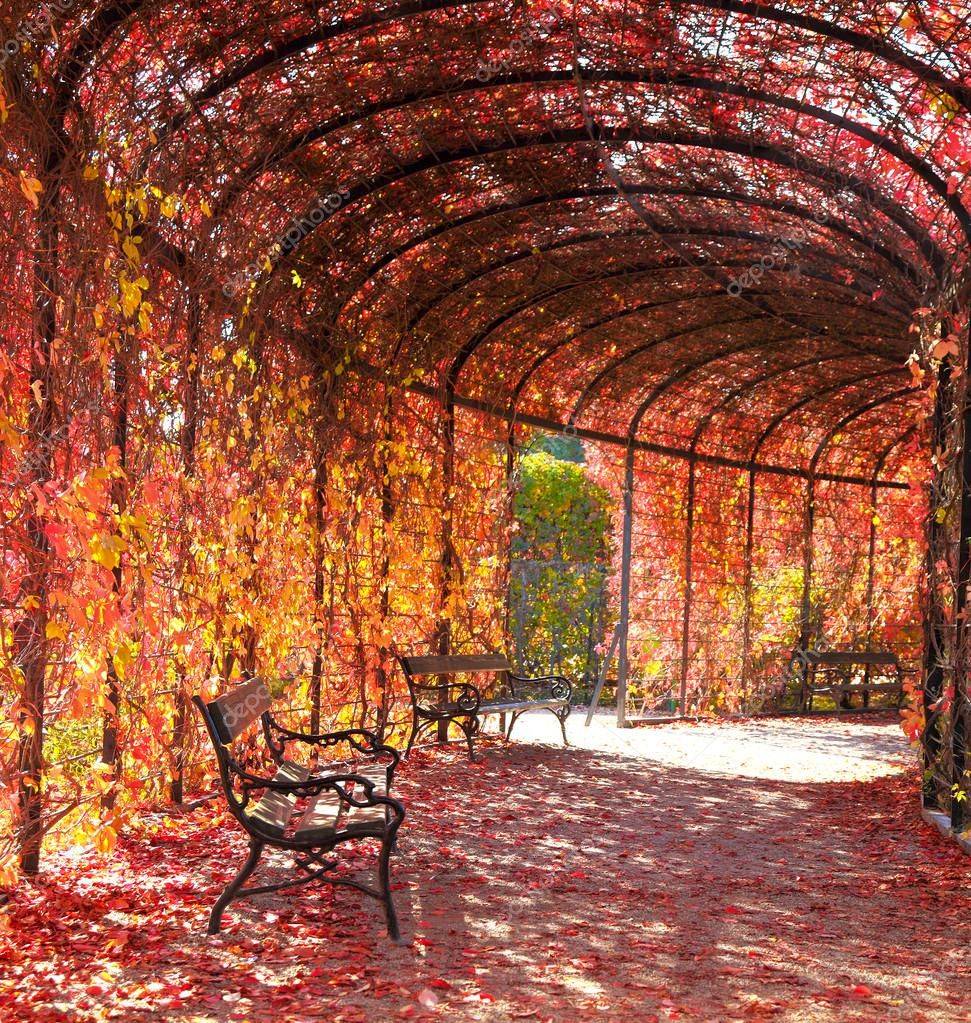 23 Garden Tunnel Ideas You Cannot Miss SharonSable