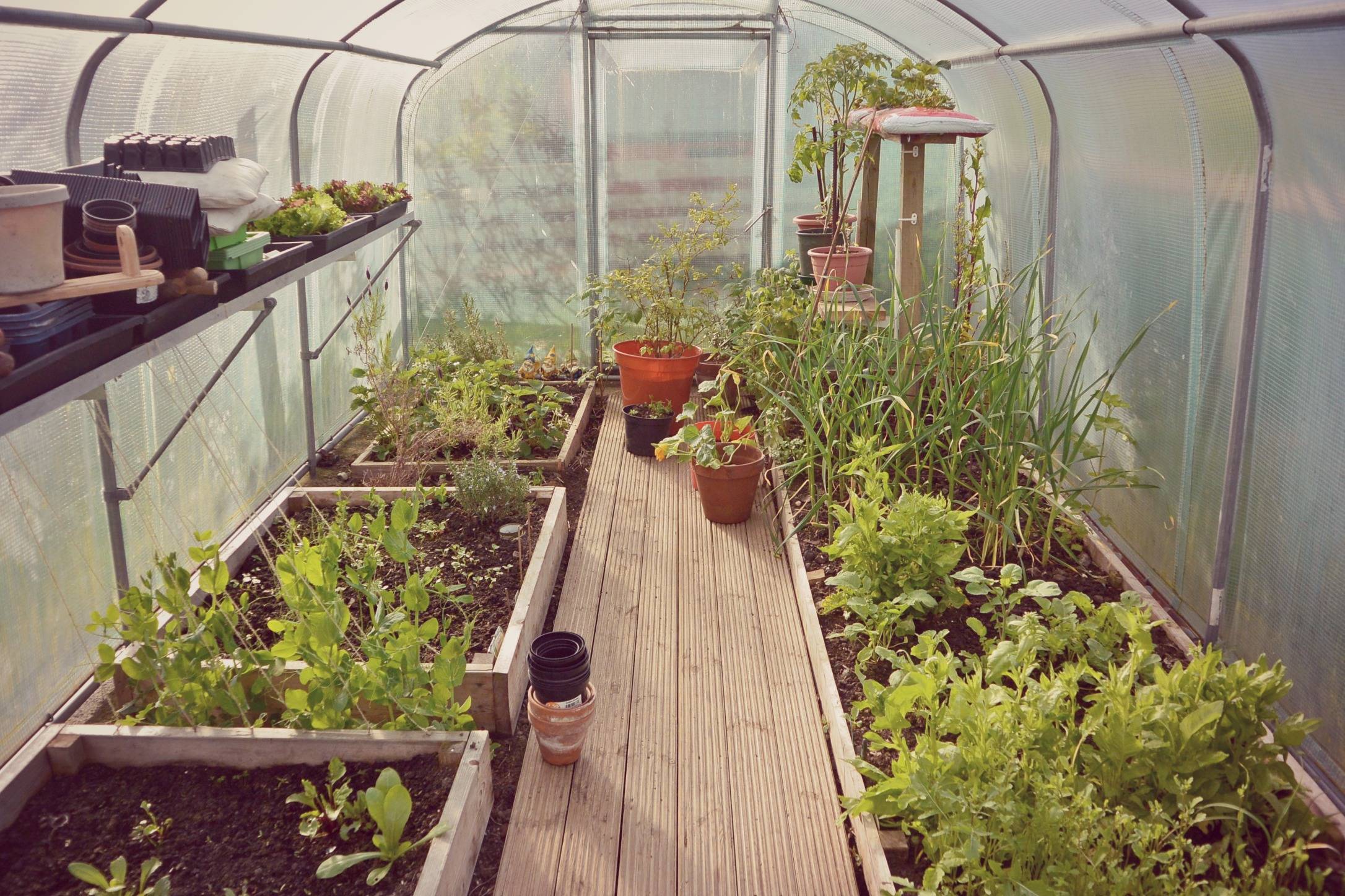 23 Garden Tunnel Ideas You Cannot Miss SharonSable