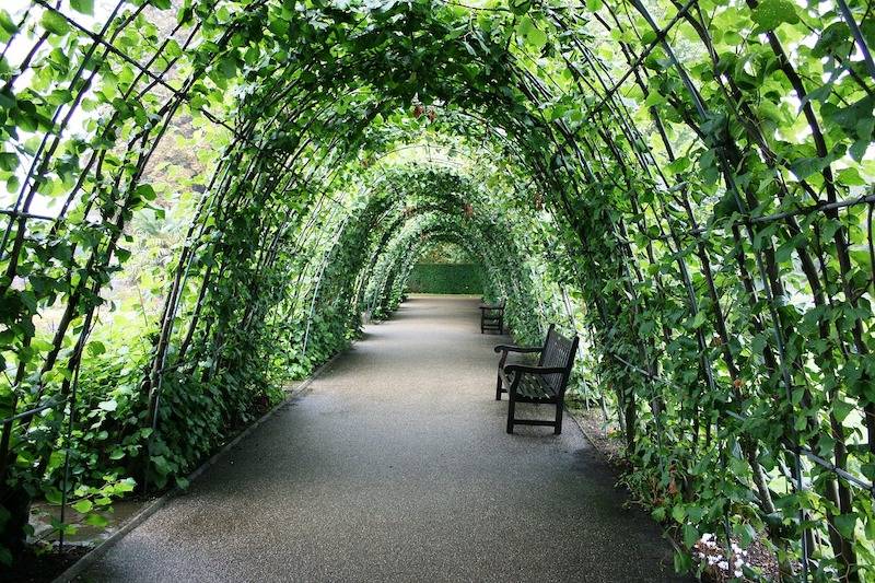 Vine Arbor Tunnel Garden Arches