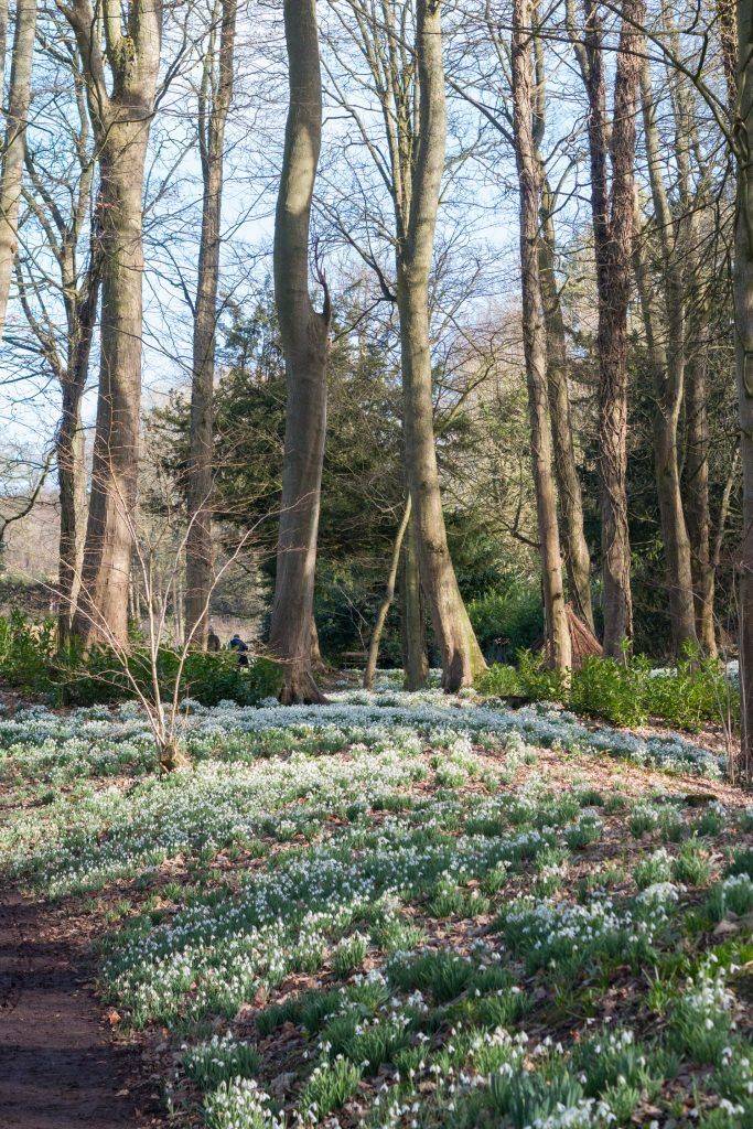 Great British Weekend Break Ideas