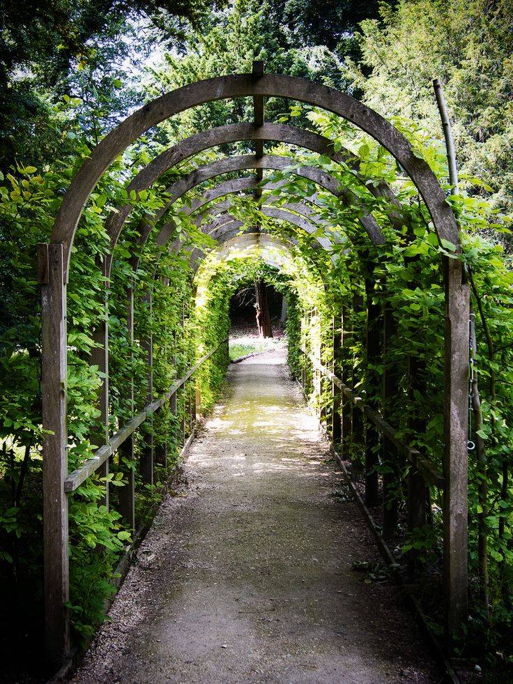 Painswick Rococo Garden Garden