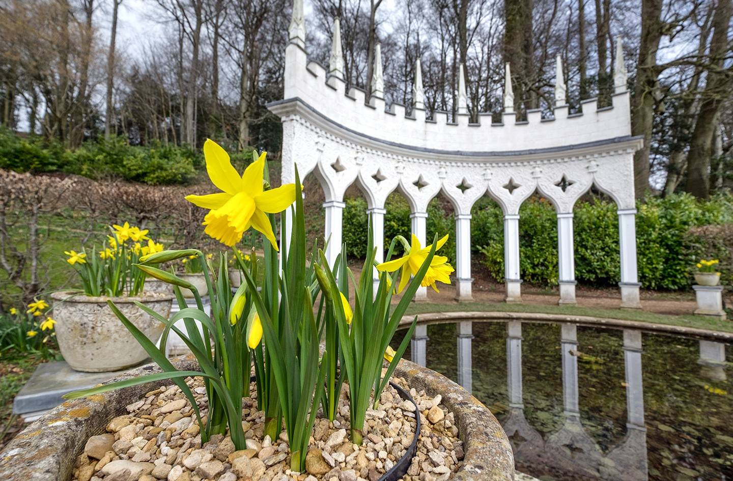 Painswick Rococo Gardens Parks
