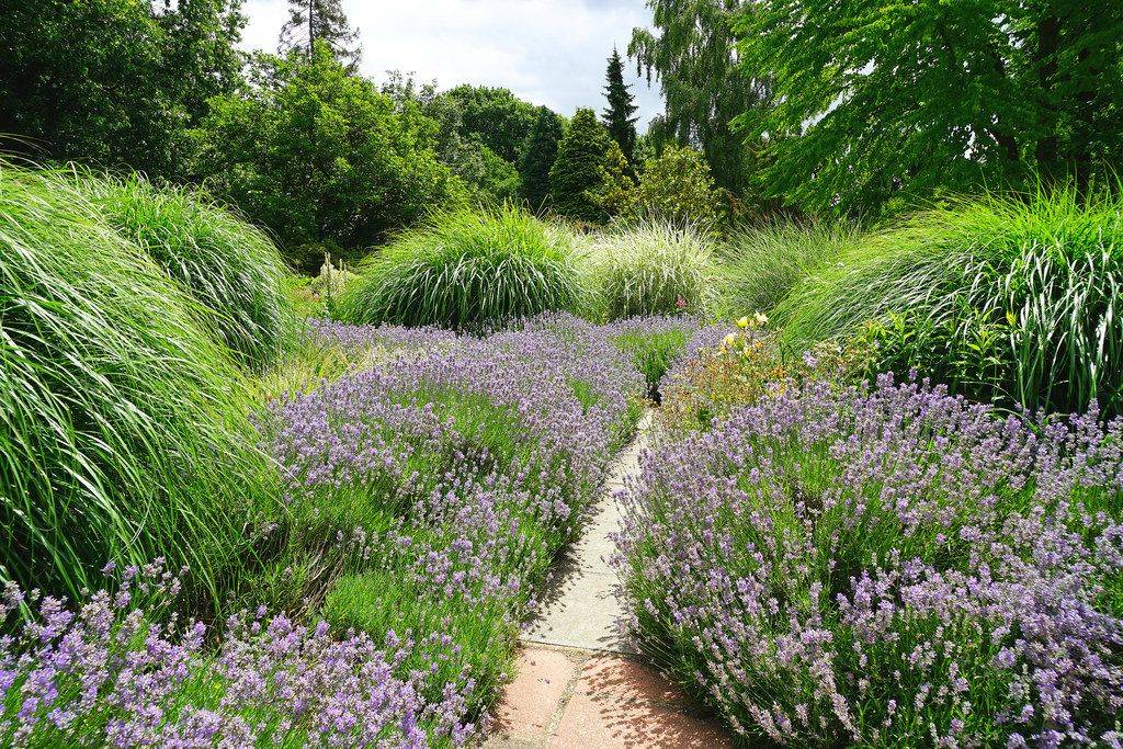 Great Comp Garden Italian Garden