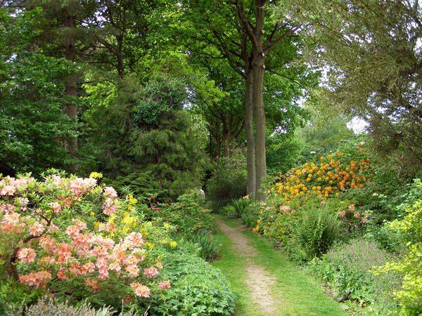 Great Comp Garden Perennial Border
