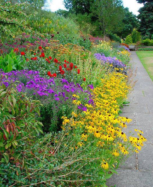 Picasa Web Albums Flip Great Comp Ga