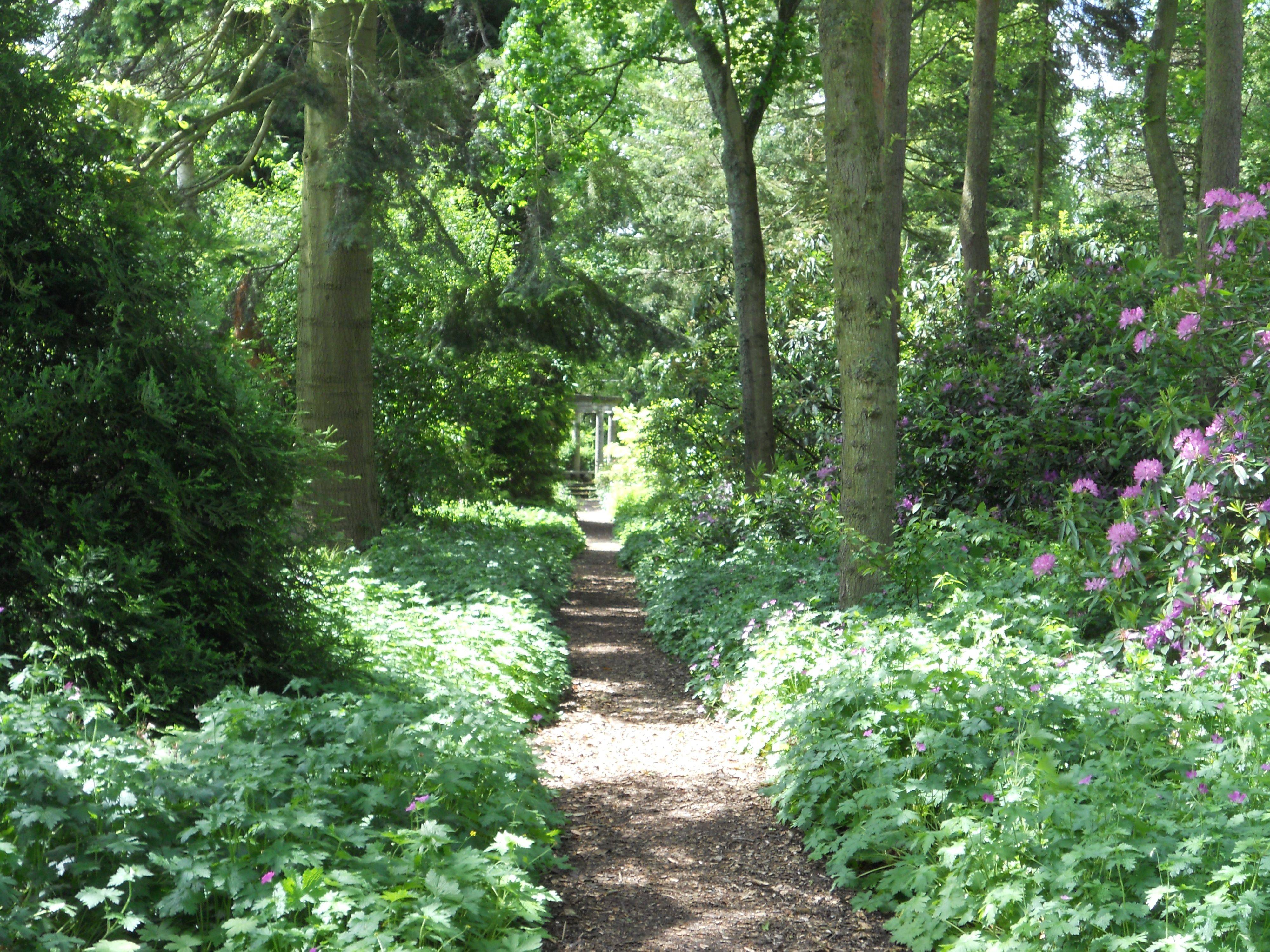 Great Comp Garden Perennial Border