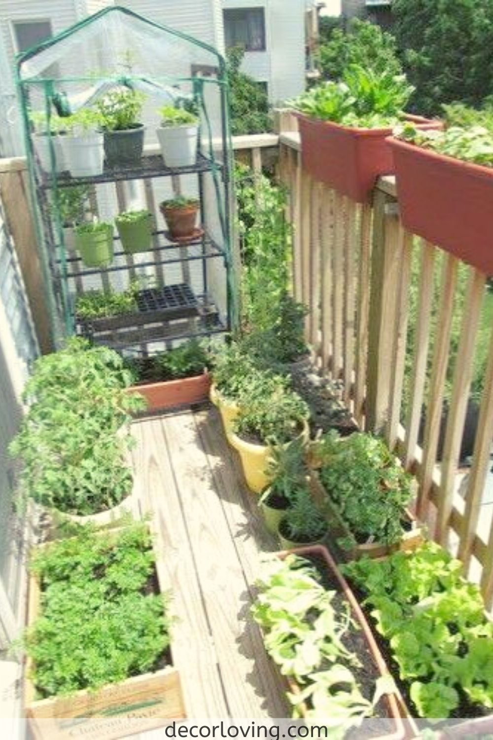 Vegetable Container Gardening Ideas