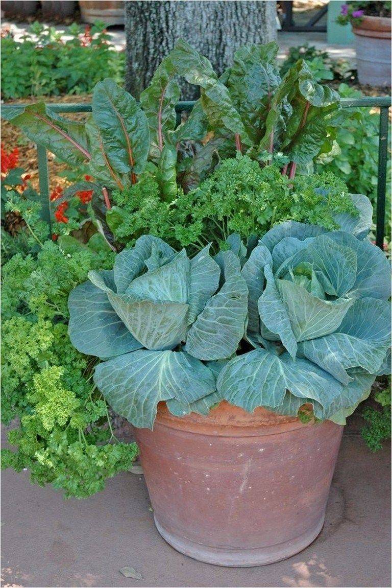 Stunning Container Vegetable Garden Design Ideas